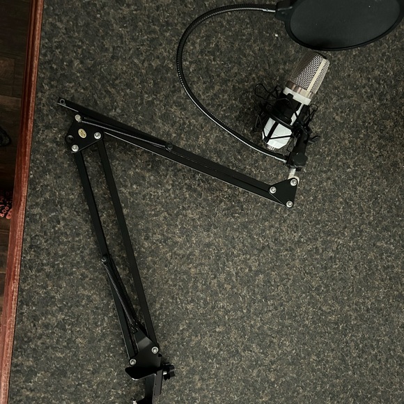 Microphone - Picture 2 of 4